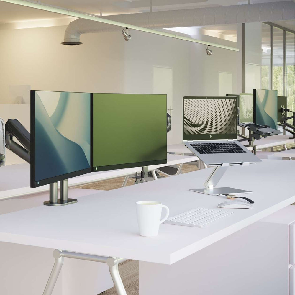 Alberenz® Doppel Monitorarm mit Gasfeder Dunkelgrau