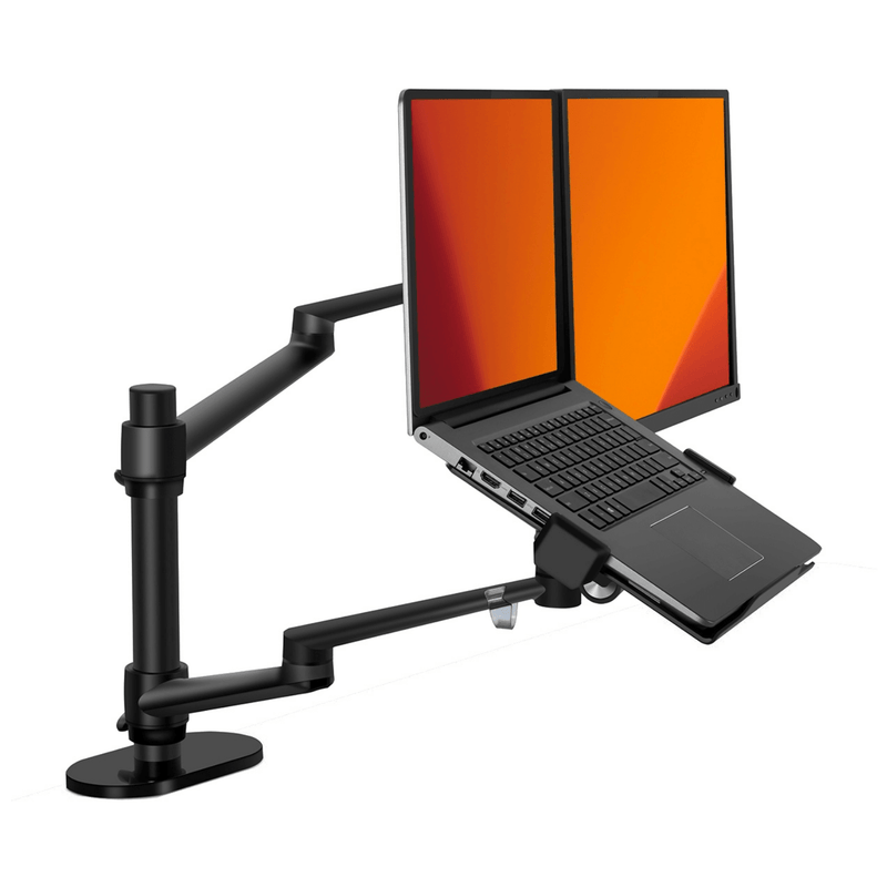 Alberenz® Bras pour moniteur d'ordinateur portable noir