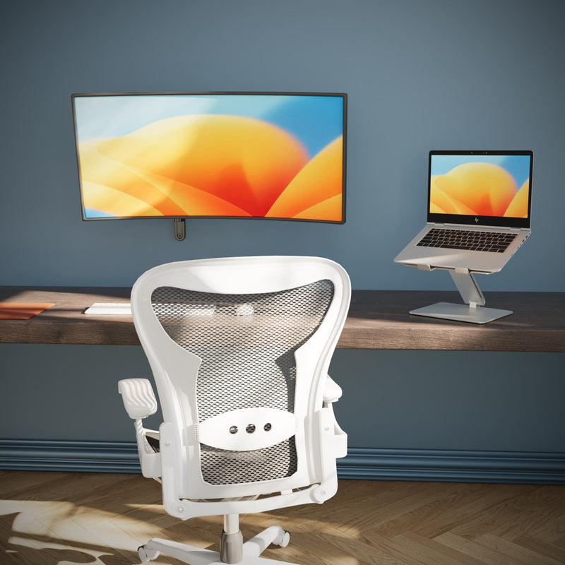 Alberenz® Monitorbeugel Wand Gasveer Donkergrijs