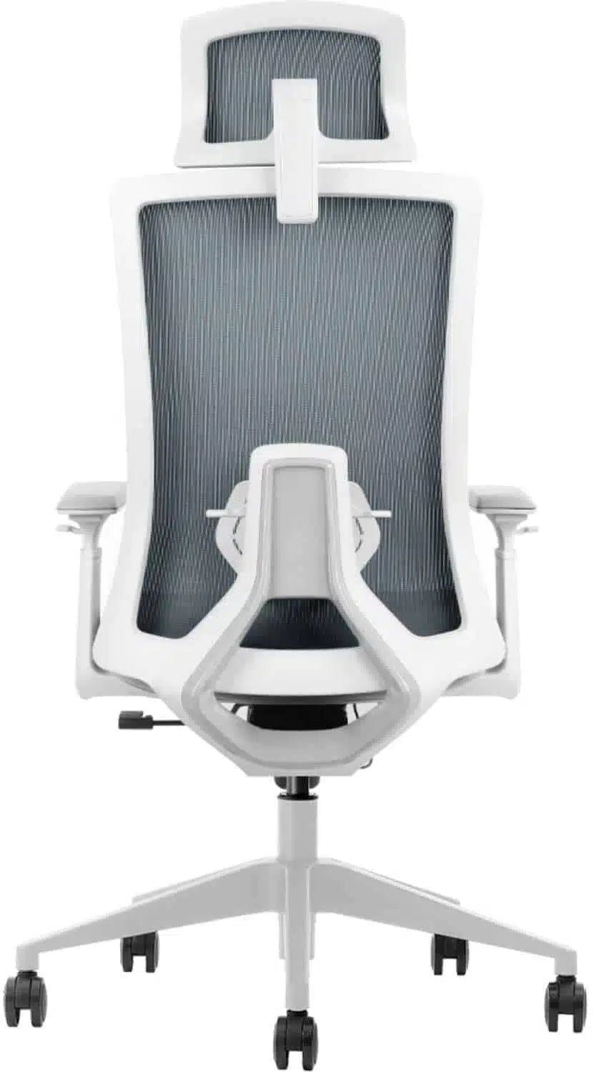 Alberenz® Adjustable Ergonomic Office Chair - Alberenz - 