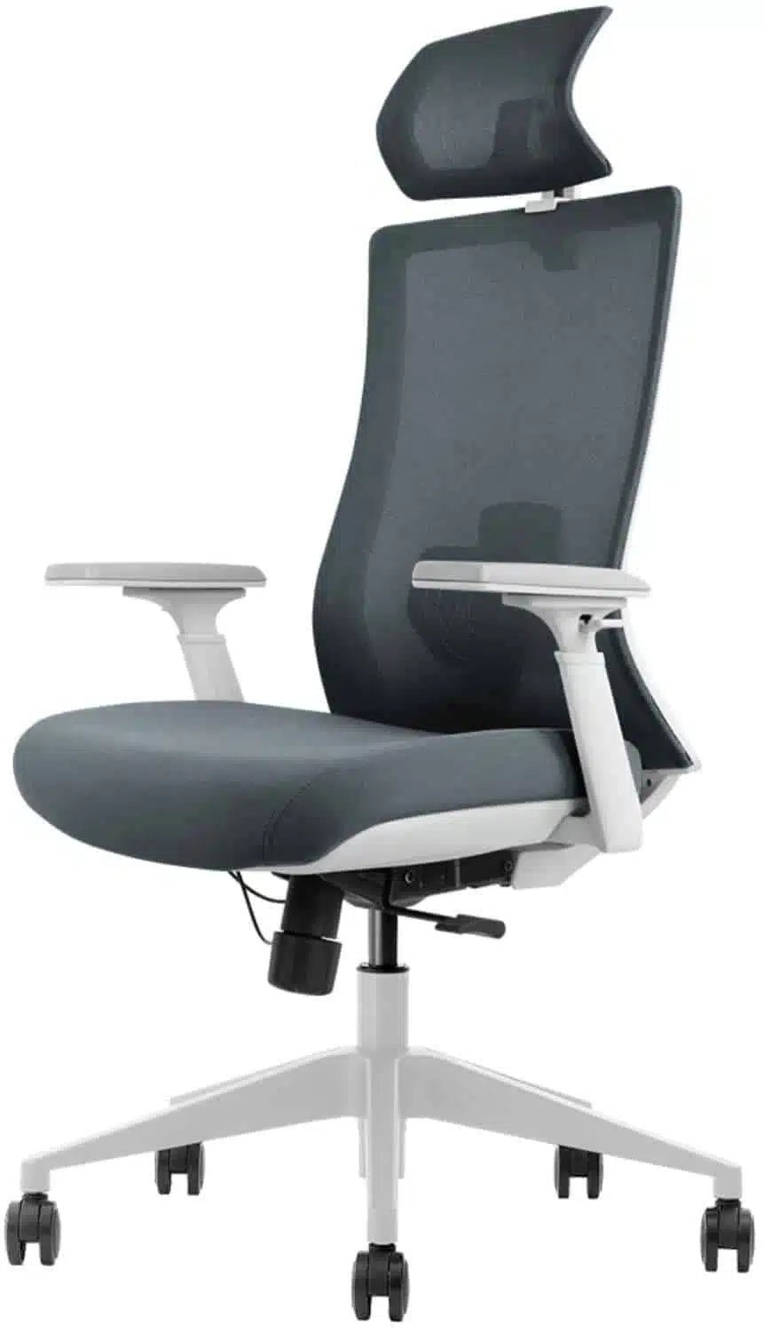 Alberenz® Adjustable Ergonomic Office Chair - Alberenz - 