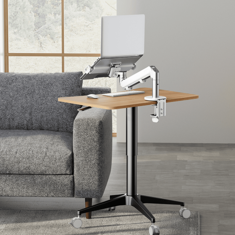 Alberenz® Ramię do laptopa z gazową sprężyną, srebrne