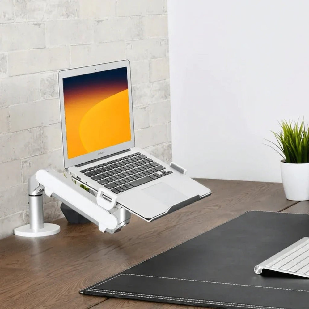Alberenz® Ramię do laptopa z gazową sprężyną, srebrne