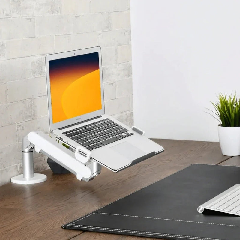 Alberenz® Ramię do laptopa z gazową sprężyną, srebrne